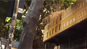 Banca Tatuí — foto 3