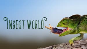 Insect World — foto 1