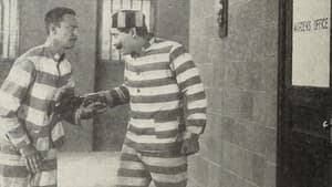 The Man from Mexico — foto 1