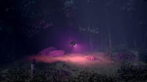 METEOR — foto 1