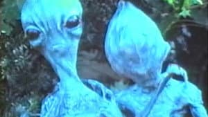 Feeders — foto 1