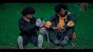 Perros de niebla — foto 5