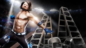 WWE TLC: Tables, Ladders & Chairs 2016 — foto 2