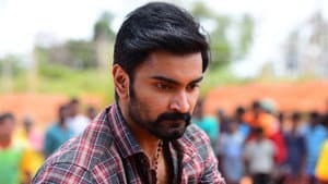 பட்டத்து அரசன் — foto 3