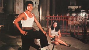 唐山虎威殲殺手 — foto 2