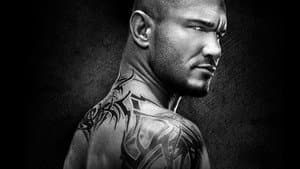 WWE Payback 2015 — foto 1