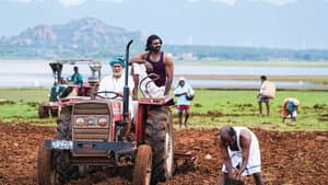 கொம்புசீவி — foto 5