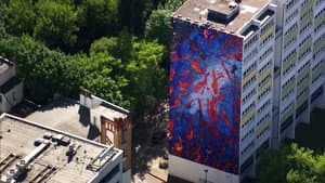 Berlin und Brandenburg von Oben — foto 1