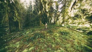 Sanctuaries of Silence — foto 1