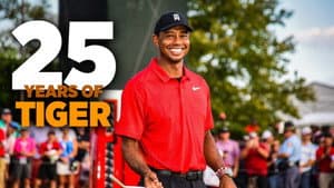 25 Years of Tiger — foto 3