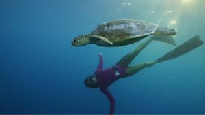 Ultimate Freedive: The Great Barrier Reef — foto 3