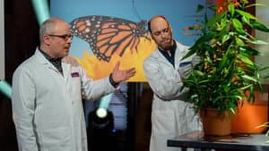 Episodio 88