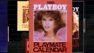 Playboy Video Playmate Calendar 1988 — foto 1