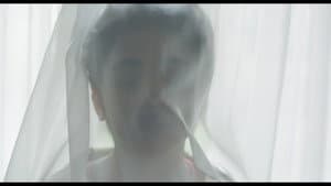 Solar — foto 1