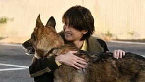 少年と犬 — foto 3