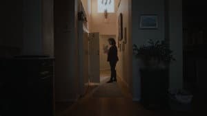 Bear — foto 2