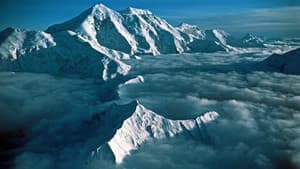 La Femme De Denali — foto 2