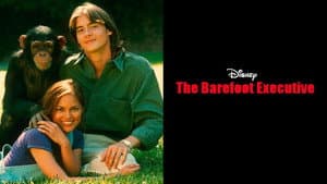 The Barefoot Executive — foto 6