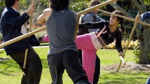 Wendy Wu: La Chica Kung-Fu — foto 6