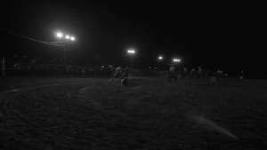 Wildcat — foto 1