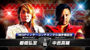 NJPW The New Beginning in Hiroshima 2014 — foto 1