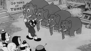 Buddy's Circus — foto 1