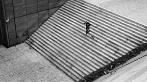 The Scars of Ali Boulala — foto 1