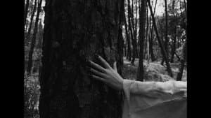 Frankenstein — foto 3