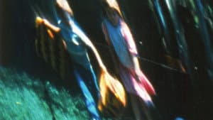 Kindering — foto 2