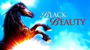 Black Beauty — foto 4