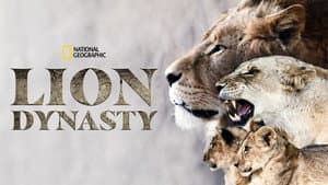 Lion Dynasty — foto 4