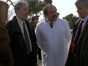 Episodio 6