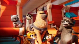 Mascotas al Rescate — foto 7