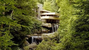 Frank Lloyd Wright – Der Phoenix aus der Asche — foto 2