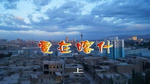 Episodio 2798
