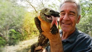 Wild Centroamérica — foto 2