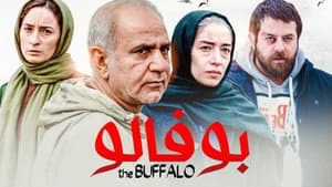 بوفالو — foto 1