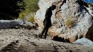 Dark Figures — foto 1