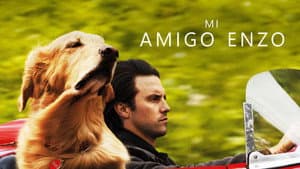 Mi Amigo Enzo — foto 4