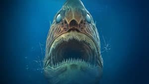 Aquarium of the Dead — foto 2