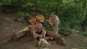 Episodio 7