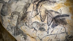 Grotte Chauvet - Dans les pas des artistes de la Préhistoire — foto 1