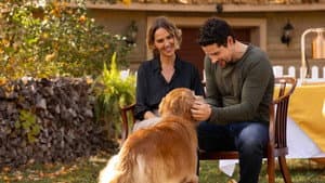 Love Is a Dog's Best Friend — foto 2