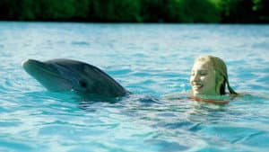 Dolphin Island — foto 3