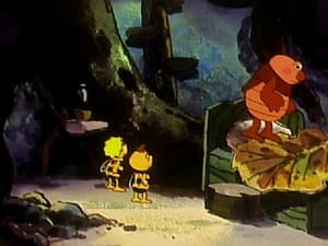 Episodio 24