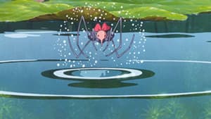 水グモもんもん — foto 3