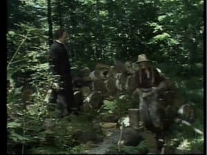Episodio 10