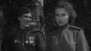 Звезда — foto 3