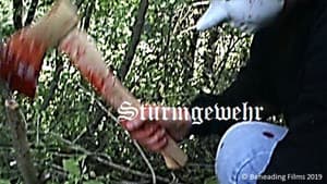 Sturmgewehr — foto 1