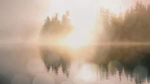 Disappeared — foto 3